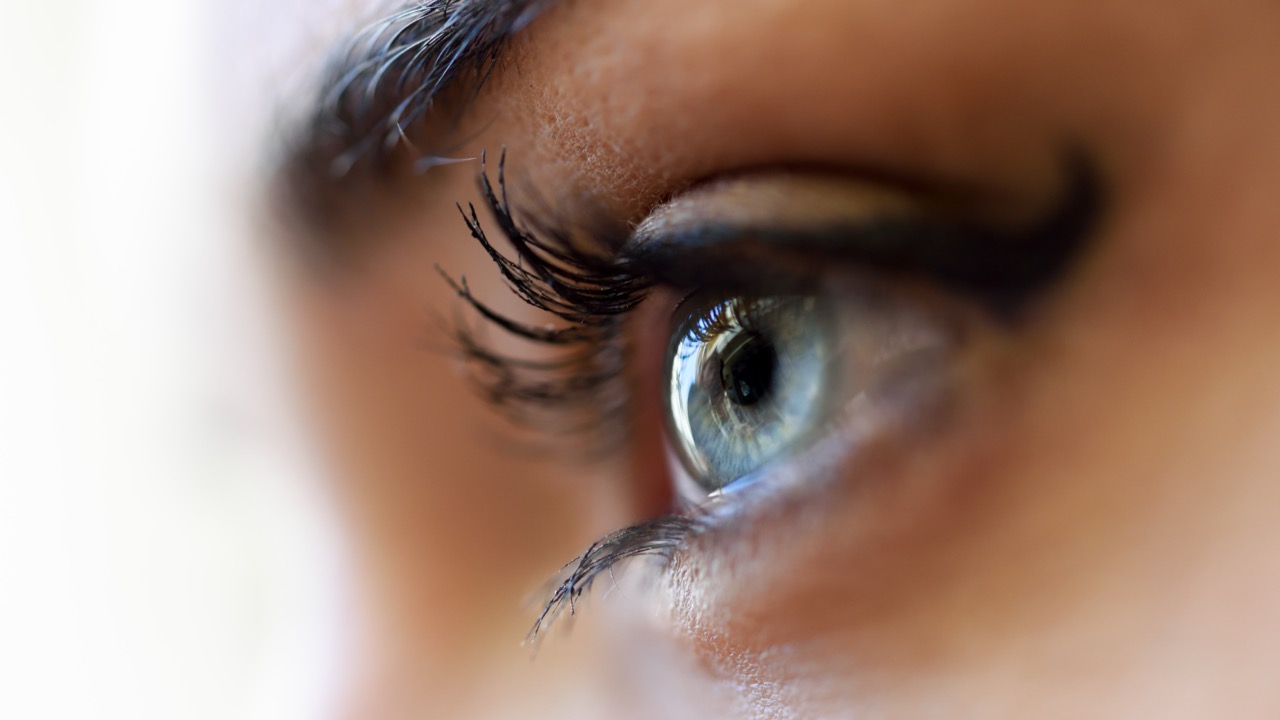 L’EMDR agit directement sur la mémoire émotionnelle du cerveau